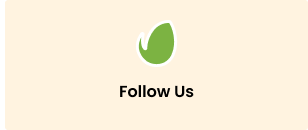 Tado - Follow Us